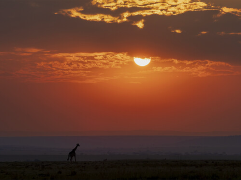 OM System M.Zuiko Digital ED 50-200mm F2.8 IS PRO Lens
