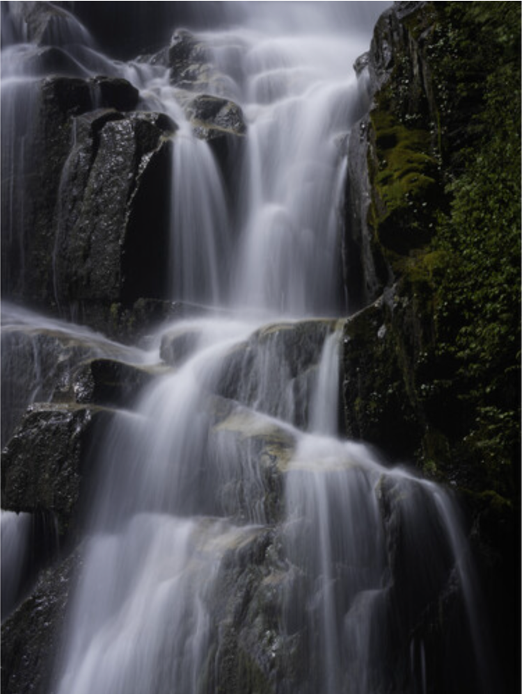 OM System M.Zuiko Digital ED 50-200mm F2.8 IS PRO Lens