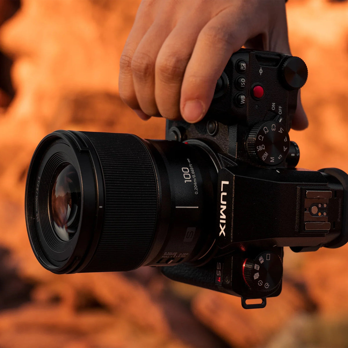 Panasonic Lumix S 100mm f/2.8 Macro Lens (Leica L)