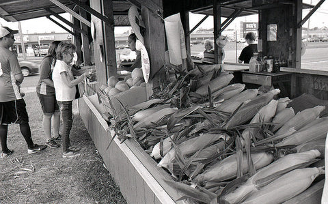 Film Photography Project Svema Foto Black & White Film - ISO 400 (35mm) (24 Exposures) (1 Roll)