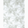 Shop Promaster Cloud Dyed Backdrop 10' x 12' - Light Gray by Promaster at Nelson Photo & Video