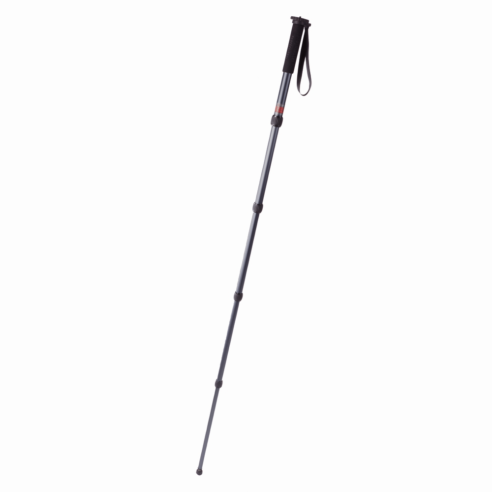 Shop Promaster MP528 Professional Monopod by Promaster at Nelson Photo & Video