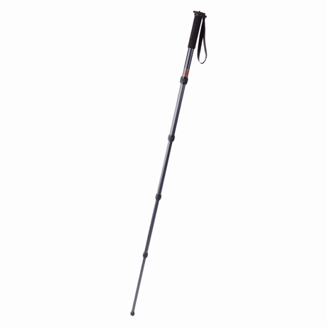 Shop Promaster MP528 Professional Monopod by Promaster at Nelson Photo & Video