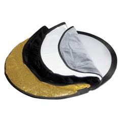 Shop Promaster ReflectaDisc 5-in-1 Reflector + - 22” by Promaster at Nelson Photo & Video