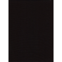Shop Promaster Solid Backdrop 10'x12' - Black by Promaster at Nelson Photo & Video