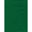 Shop Promaster Solid Backdrop 10'x20' - Chromakey Green by Promaster at Nelson Photo & Video