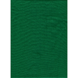 Shop Promaster Solid Backdrop 6' x 10' - Chromakey Green by Promaster at Nelson Photo & Video