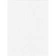 Shop Promaster Solid Backdrop 6' x 10' - White by Promaster at Nelson Photo & Video