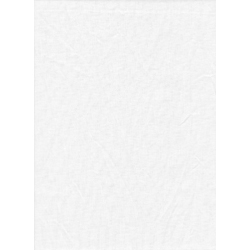 Shop Promaster Solid Backdrop 6' x 10' - White by Promaster at Nelson Photo & Video
