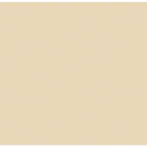 Shop Rosco Cinegel #3408 Filter 20” x 24” Sheet (RoscoSun 1/2 CTO) by Visual Departures at Nelson Photo & Video