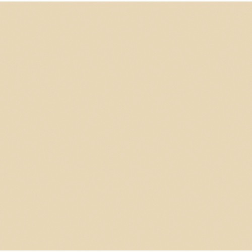 Shop Rosco Cinegel #3409 Filter 20” x 24” Sheet (RoscoSun 1/4 CTO) by Visual Departures at Nelson Photo & Video