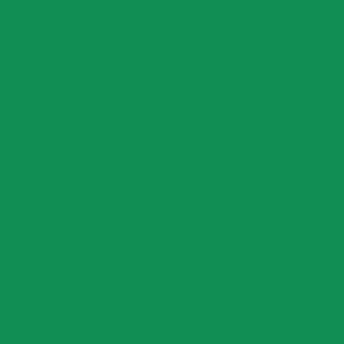 Shop Rosco Roscolux #89 Filter 20” x 24" Sheet (Moss Green) by Visual Departures at Nelson Photo & Video