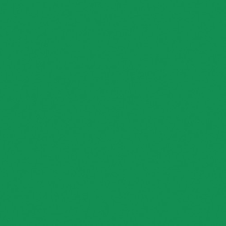 Shop Rosco Roscolux #89 Filter 20” x 24" Sheet (Moss Green) by Visual Departures at Nelson Photo & Video