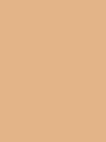 Shop Savage Widetone Seamless Background Paper (Almond, 53" x 36') by Savage at Nelson Photo & Video