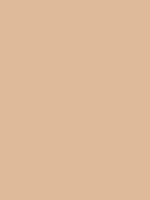 Shop Savage Widetone Seamless Background Paper (Beige, 107" x 36') by Savage at Nelson Photo & Video