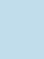 Shop Savage Widetone Seamless Background Paper (Blue Mist, 53" x 36') by Savage at Nelson Photo & Video