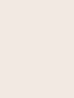 Shop Savage Widetone Seamless Background Paper (Bone, 53" x 36') by Savage at Nelson Photo & Video