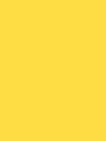 Shop Savage Widetone Seamless Background Paper (Canary, 53" x 36') by Savage at Nelson Photo & Video
