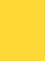 Shop Savage Widetone Seamless Background Paper (Canary, 86” x 12yds) by Savage at Nelson Photo & Video