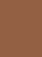Shop Savage Widetone Seamless Background Paper (Cocoa, 107" x 36') by Savage at Nelson Photo & Video