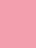 Shop Savage Widetone Seamless Background Paper (Coral, 107" x 36') by Savage at Nelson Photo & Video