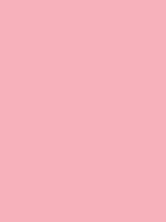 Shop Savage Widetone Seamless Background Paper (Coral, 53" x 36') by Savage at Nelson Photo & Video