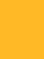 Shop Savage Widetone Seamless Background Paper (Deep Yellow, 53" x 36') by Savage at Nelson Photo & Video