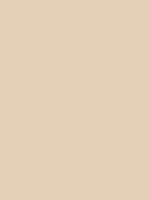 Shop Savage Widetone Seamless Background Paper (Egg Nog, 107" x 36') by Savage at Nelson Photo & Video