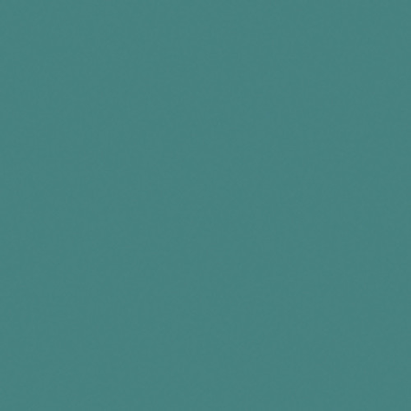 Shop Savage Widetone Seamless Background Paper (Evergreen, 107" x 36') by Savage at Nelson Photo & Video