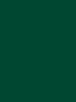 Shop Savage Widetone Seamless Background Paper (Evergreen, 53" x 36') by Savage at Nelson Photo & Video