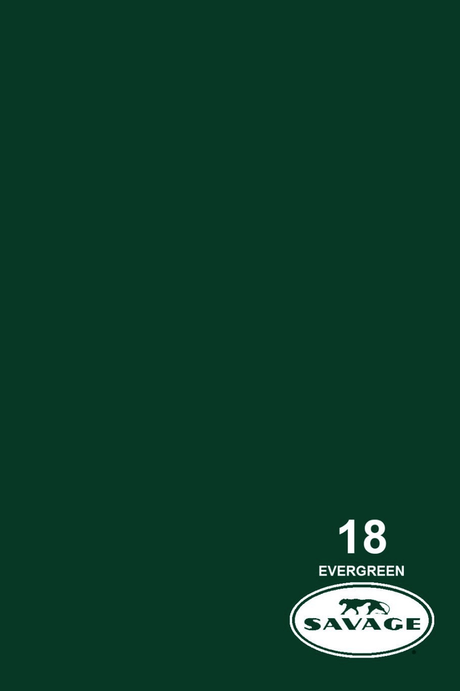 Shop Savage Widetone Seamless Background Paper (Evergreen Seamless Paper 86” x 12yd) by Savage at Nelson Photo & Video