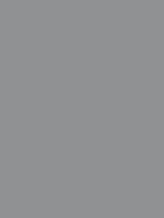 Shop Savage Widetone Seamless Background Paper (Fashion Gray, 53" x 36') by Savage at Nelson Photo & Video