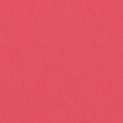 Shop Savage Widetone Seamless Background Paper (Flamingo, 53" x 36') by Savage at Nelson Photo & Video