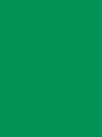 Shop Savage Widetone Seamless Background Paper (Holly, 53" x 36') by Savage at Nelson Photo & Video