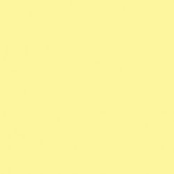 Shop Savage Widetone Seamless Background Paper (Lemonade, 107" x 36') by Savage at Nelson Photo & Video