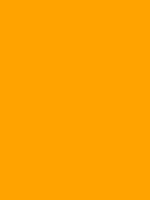 Shop Savage Widetone Seamless Background Paper (Marmalade, 53" x 36') by Savage at Nelson Photo & Video