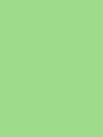 Shop Savage Widetone Seamless Background Paper (Mint Green, 53" x 36') by Savage at Nelson Photo & Video