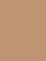 Shop Savage Widetone Seamless Background Paper (Mocha, 53" x 36') by Savage at Nelson Photo & Video