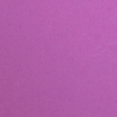 Shop Savage Widetone Seamless Background Paper (Plum, 53" x 36') by Savage at Nelson Photo & Video