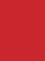 Shop Savage Widetone Seamless Background Paper (Primary Red, 53" x 36') by Savage at Nelson Photo & Video