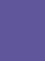 Shop Savage Widetone Seamless Background Paper (Purple, 53" x 36') by Savage at Nelson Photo & Video