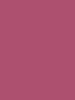Shop Savage Widetone Seamless Background Paper (Ruby, 107" x 36') by Savage at Nelson Photo & Video