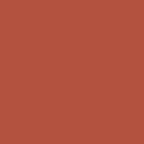 Shop Savage Widetone Seamless Background Paper (Rustic, 107" x 36') by Savage at Nelson Photo & Video