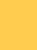 Shop Savage Widetone Seamless Background Paper (Sand, 53" x 36') by Savage at Nelson Photo & Video