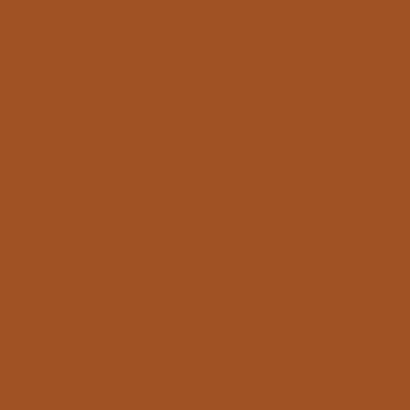 Shop Savage Widetone Seamless Background Paper (Sienna 53" x 36') by Savage at Nelson Photo & Video