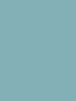 Shop Savage Widetone Seamless Background Paper (Sky Blue, 53" x 36') by Savage at Nelson Photo & Video