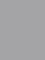 Shop Savage Widetone Seamless Background Paper (Stone Gray, 53" x 36') by Savage at Nelson Photo & Video