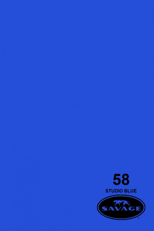 Shop Savage Widetone Seamless Background Paper (Studio Blue Seamless Paper 86” x 12yd) by Savage at Nelson Photo & Video