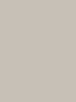 Shop Savage Widetone Seamless Background Paper (Studio Gray, 107" x 36') by Savage at Nelson Photo & Video