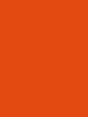 Shop Savage Widetone Seamless Background Paper (Tangelo, 53" x 36') by Savage at Nelson Photo & Video